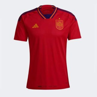 spain-home-jersey-22